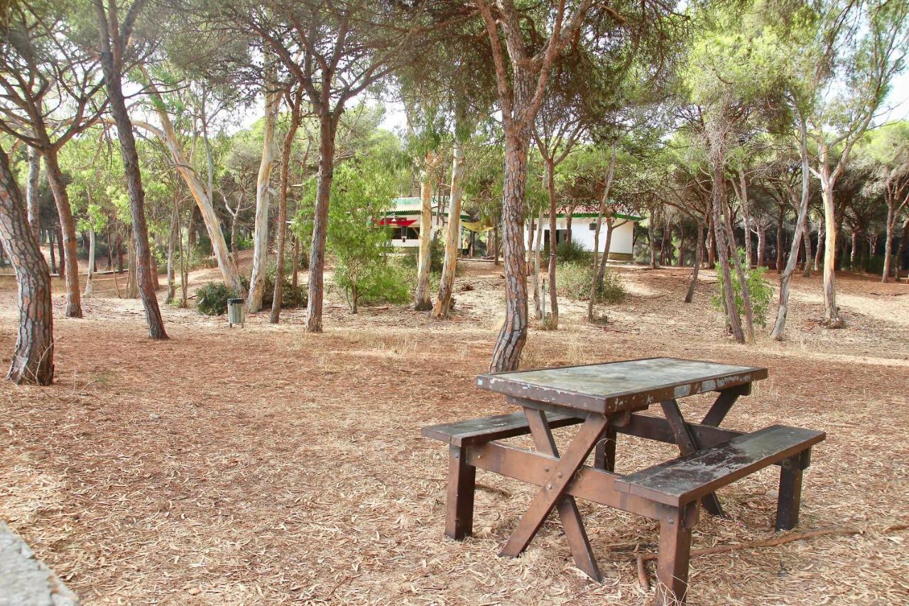 Playa Y Bosque Appartement Rota