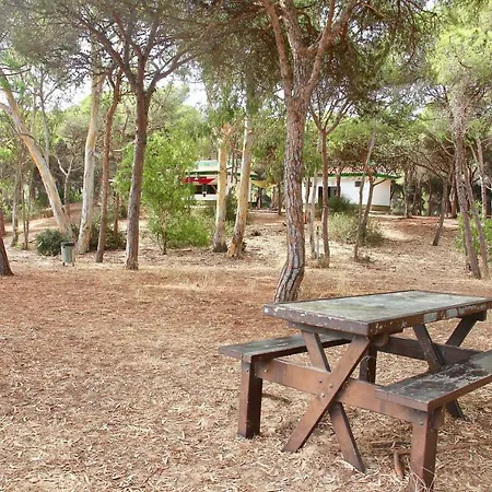Apartamento Playa Y Bosque Rota Extérieur photo
