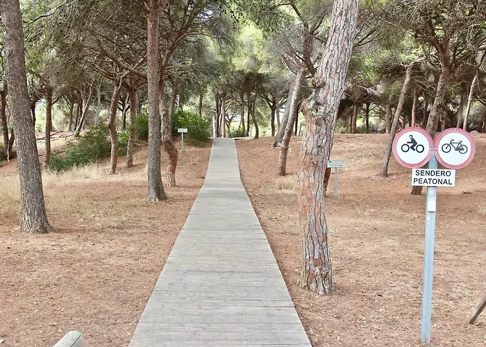 Apartamento Playa Y Bosque