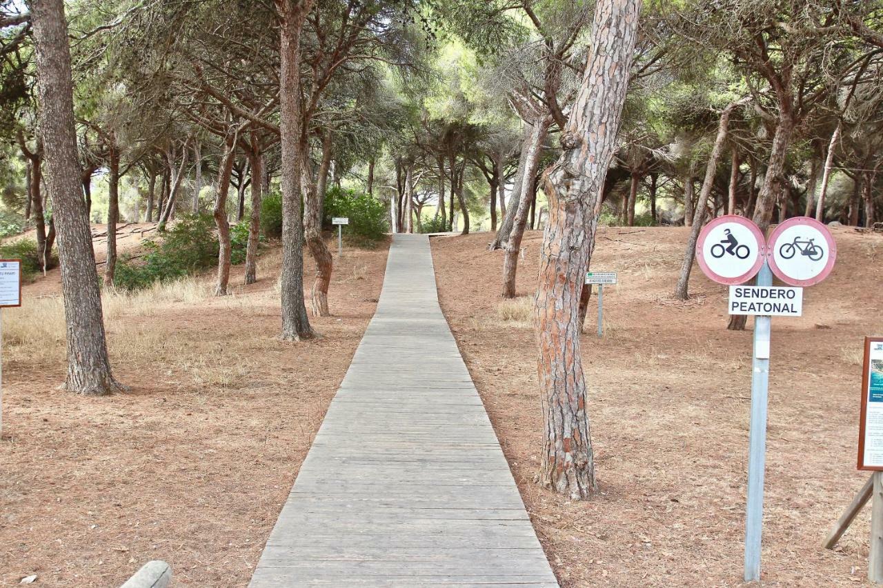 Playa Y Bosque